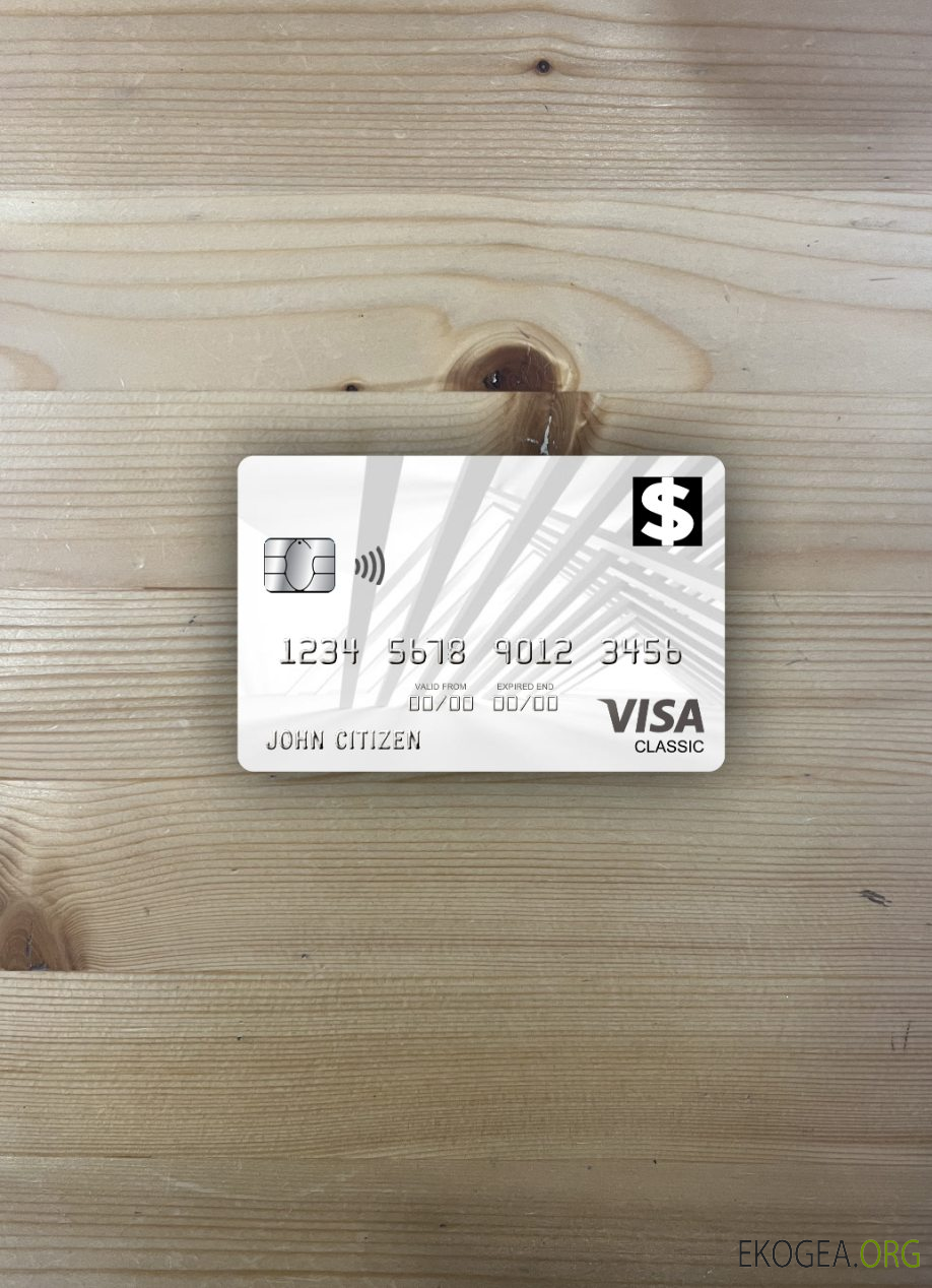 USA First Bank of Wiki visa carte classique photolook recto